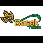BAŞAK TOHUM
